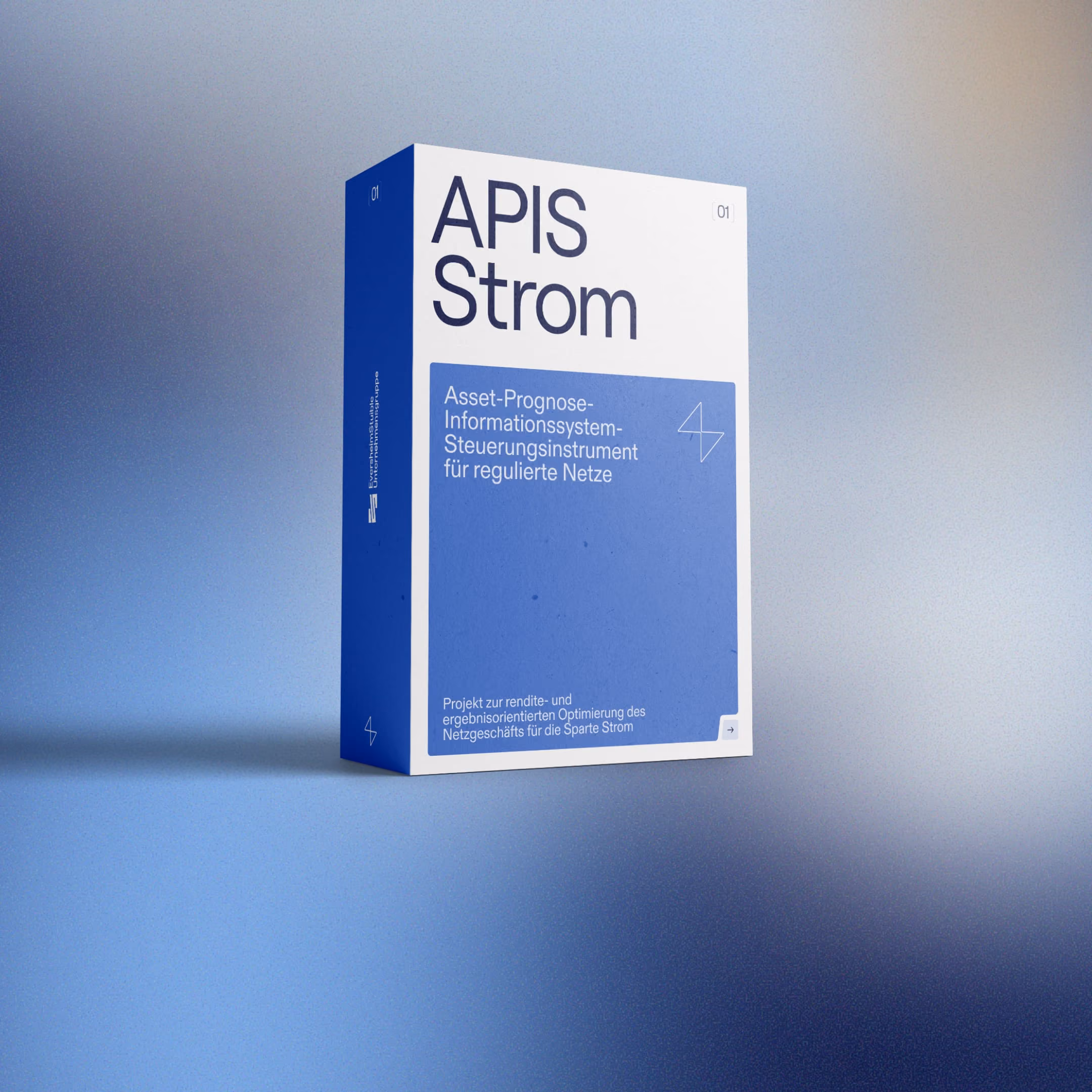 Verpackung des APIS Strom Systems zur Optimierung von regulierten Stromnetzen und Netzgeschäft.